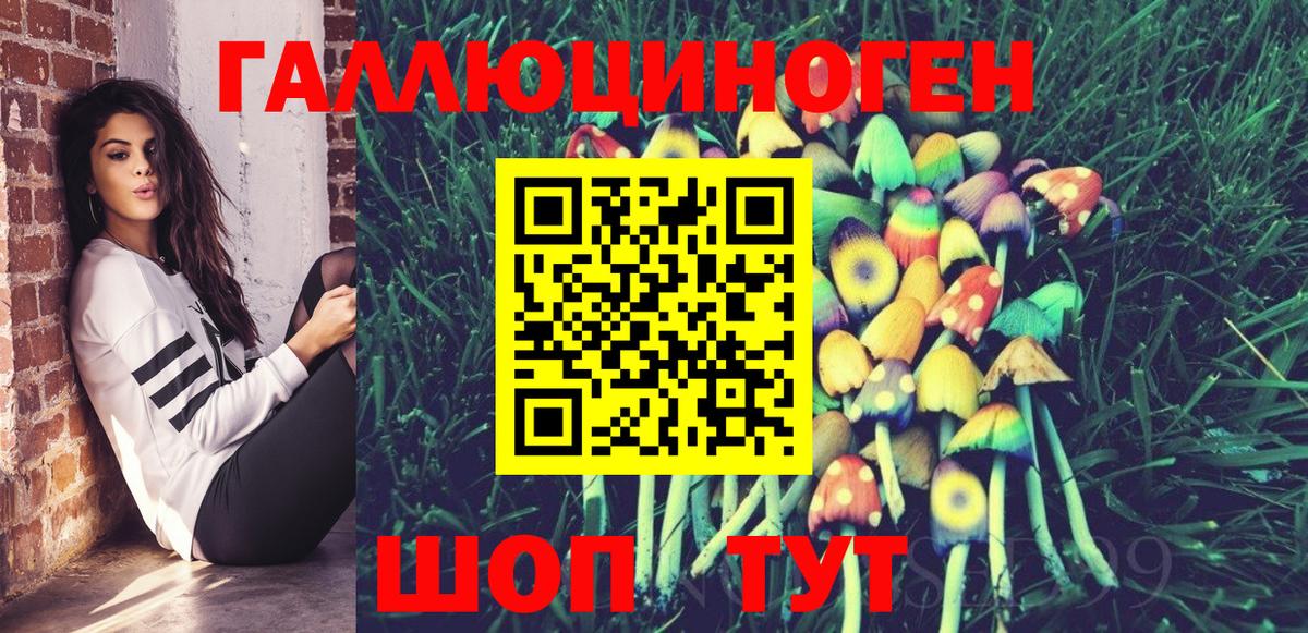 Канаш  Галлюциногенные грибы GOLDEN TEACHER  Вход с VPN 